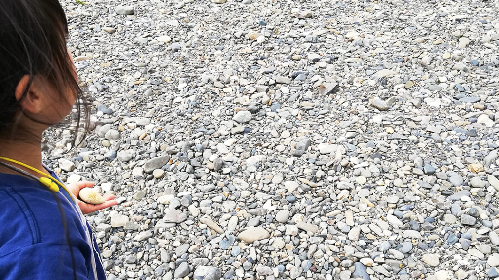 久慈川で黄色い石をみつける
