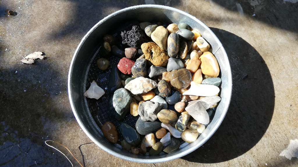 ふなばし三番瀬海浜公園で拾った石を洗う