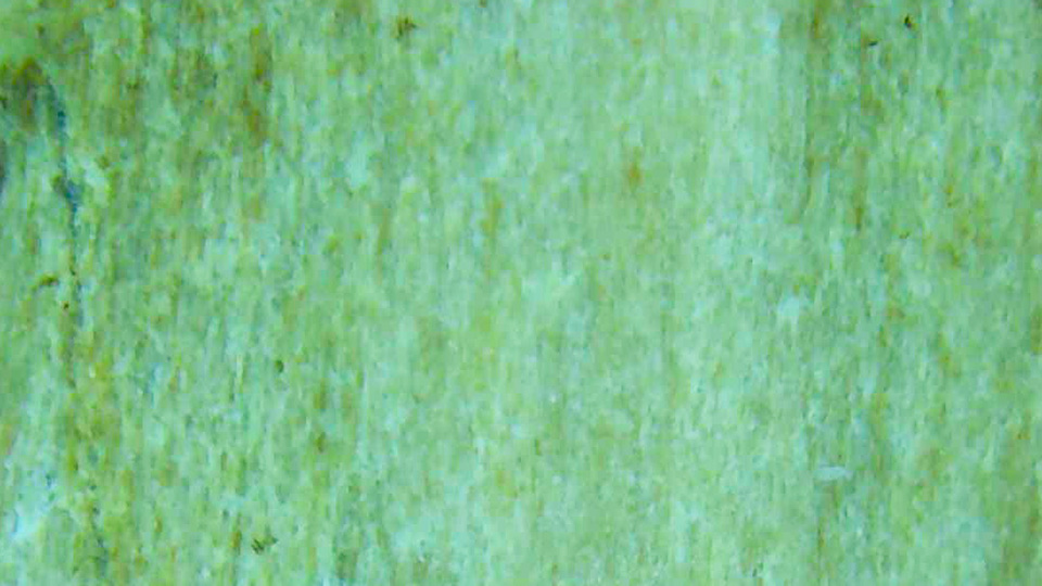 久慈川の珪化木をデジタル顕微鏡で観察