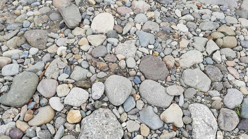 相模川でセラドン石をひろう 石拾い 川 海 山で石ころ探し