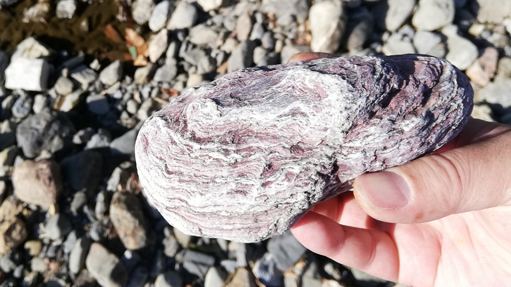 高麗川の結晶片岩と思われる石